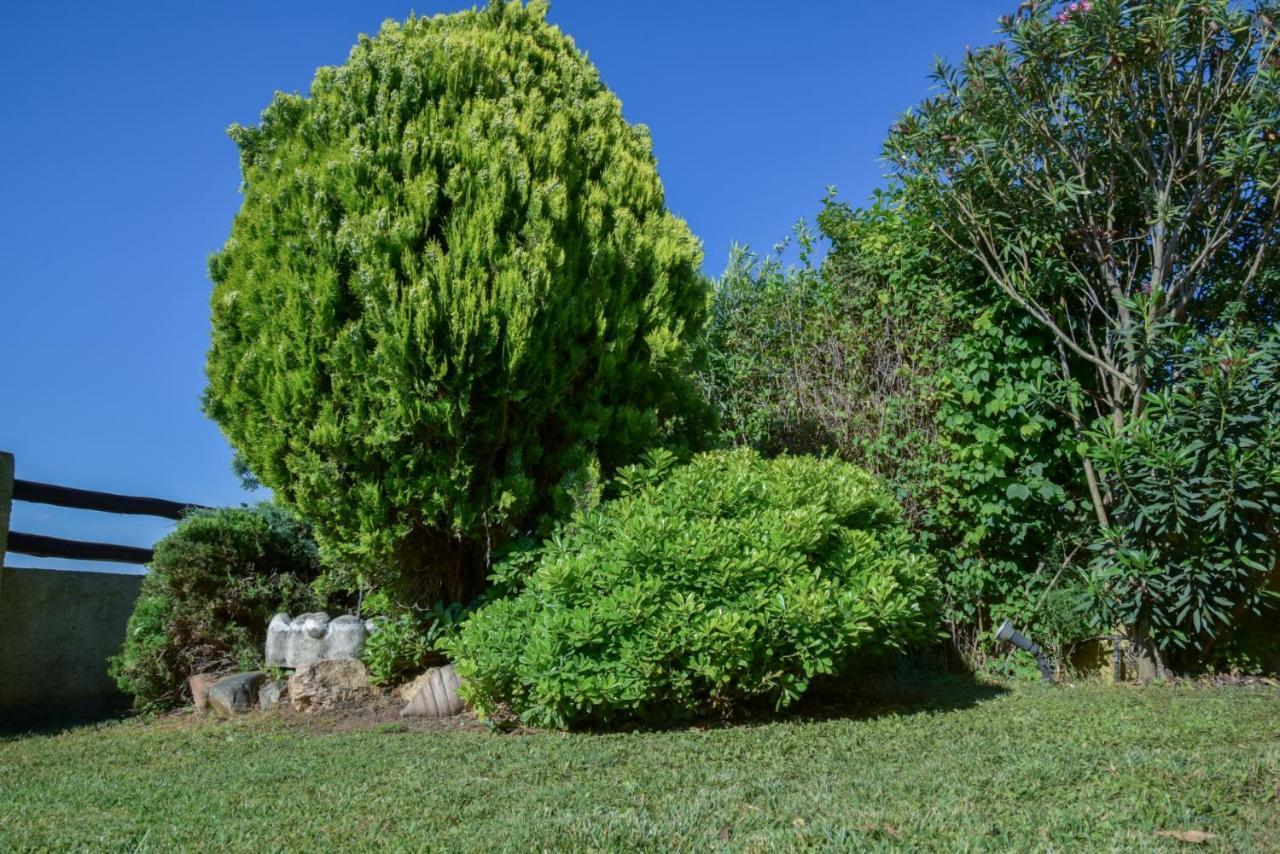 Villa Eva Halkidiki アギオス・ニコラオス エクステリア 写真