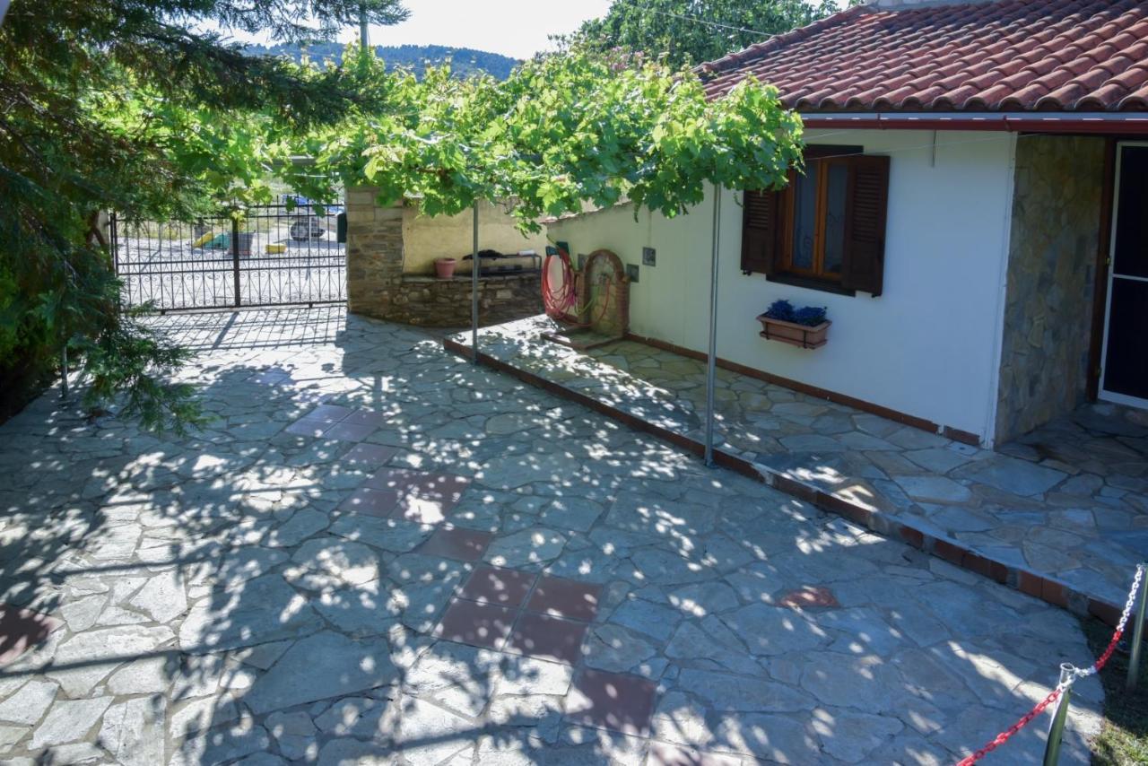 Villa Eva Halkidiki アギオス・ニコラオス エクステリア 写真